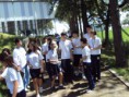 /album/galeria-de-fotos/agrofloresta-5-jpg/